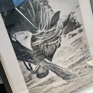 SET of TWO Large Black and White Horse Photos - on metallic paper.